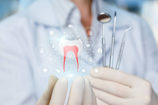 Best Dental Exams and Cleanings  in Fairview Ferndale, PA